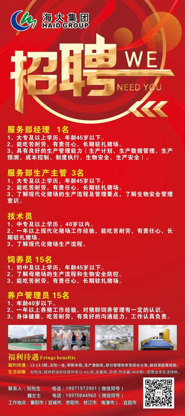 颖上招聘最新招聘信息,颖上招聘最新招聘信息概览