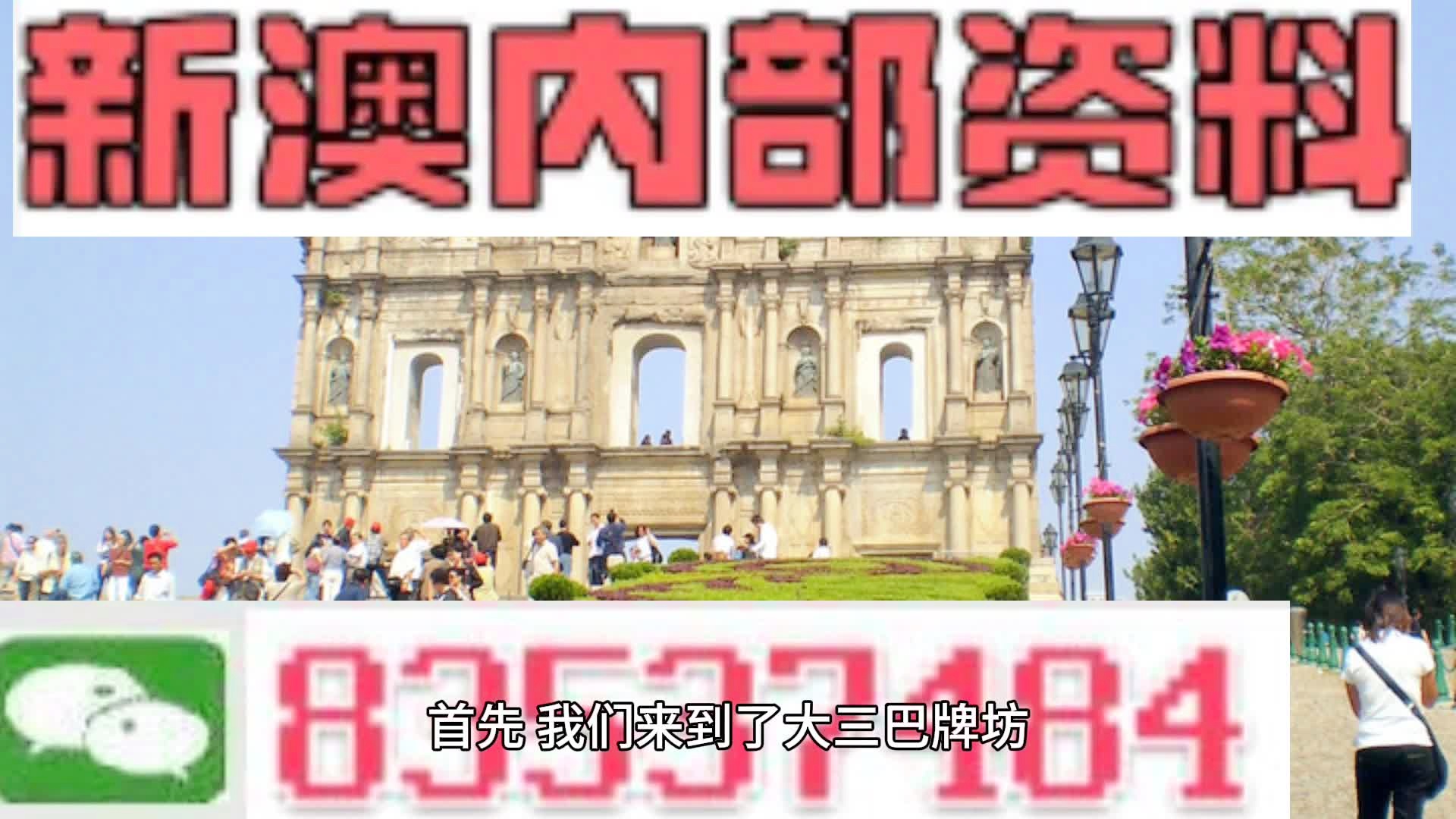 2024新澳资料免费精准051,探索未来，2024新澳资料免费精准051的独特价值