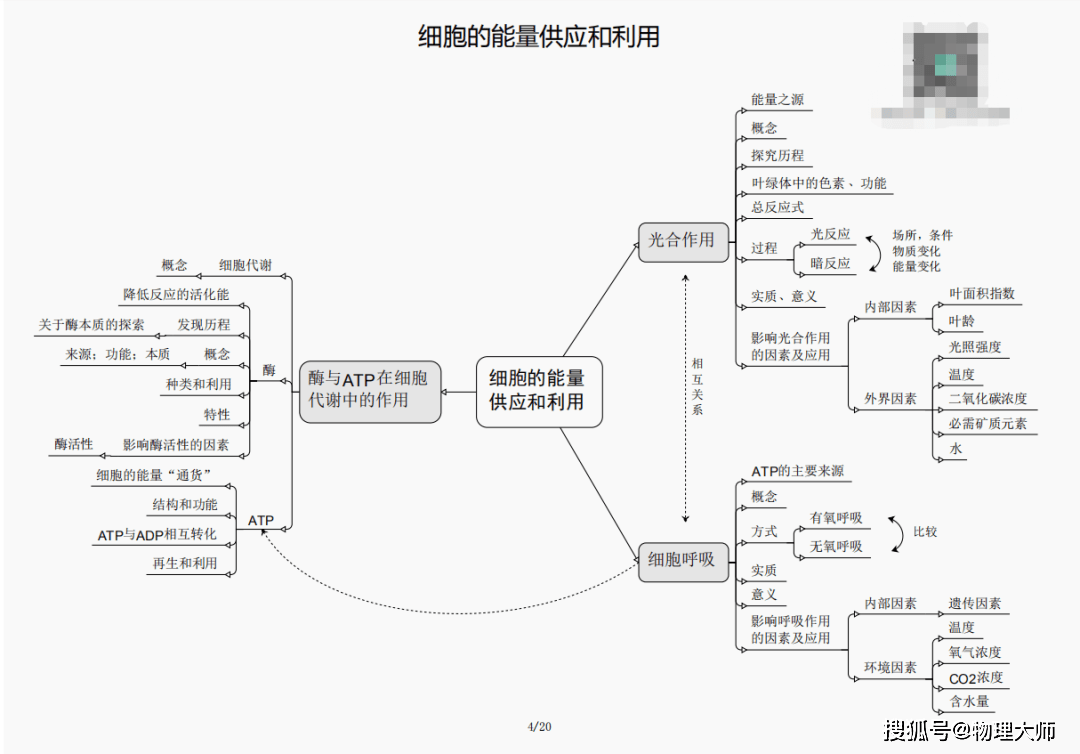 白小姐三肖三期必出一期开奖,警惕白小姐三肖三期必出一期开奖——揭开背后的犯罪真相