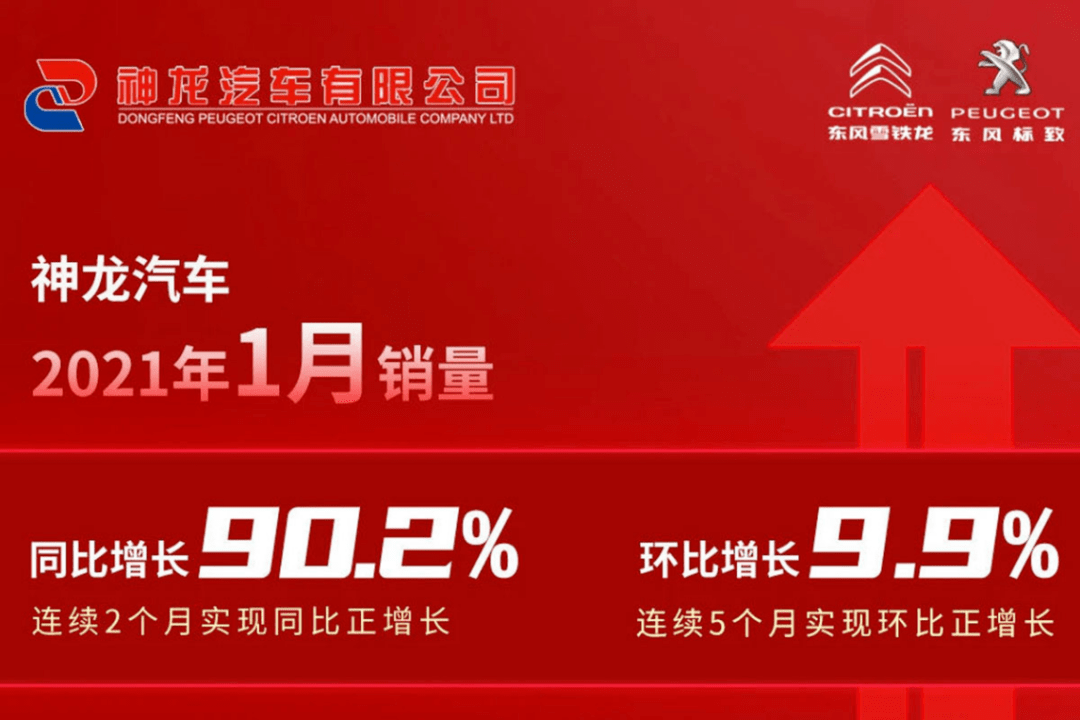 2024年正版资料免费大全亮点,探索未来知识宝库，2024正版资料免费大全的亮点展望