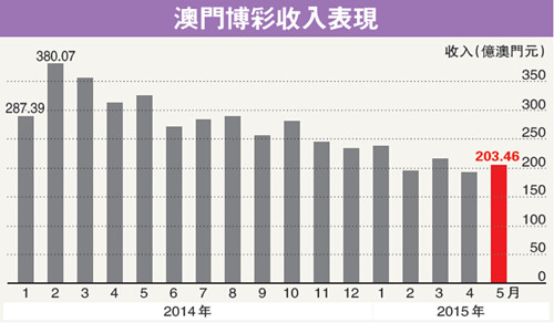 2025澳门一肖一码100,探索澳门博彩文化，2025年澳门一肖一码的魅力